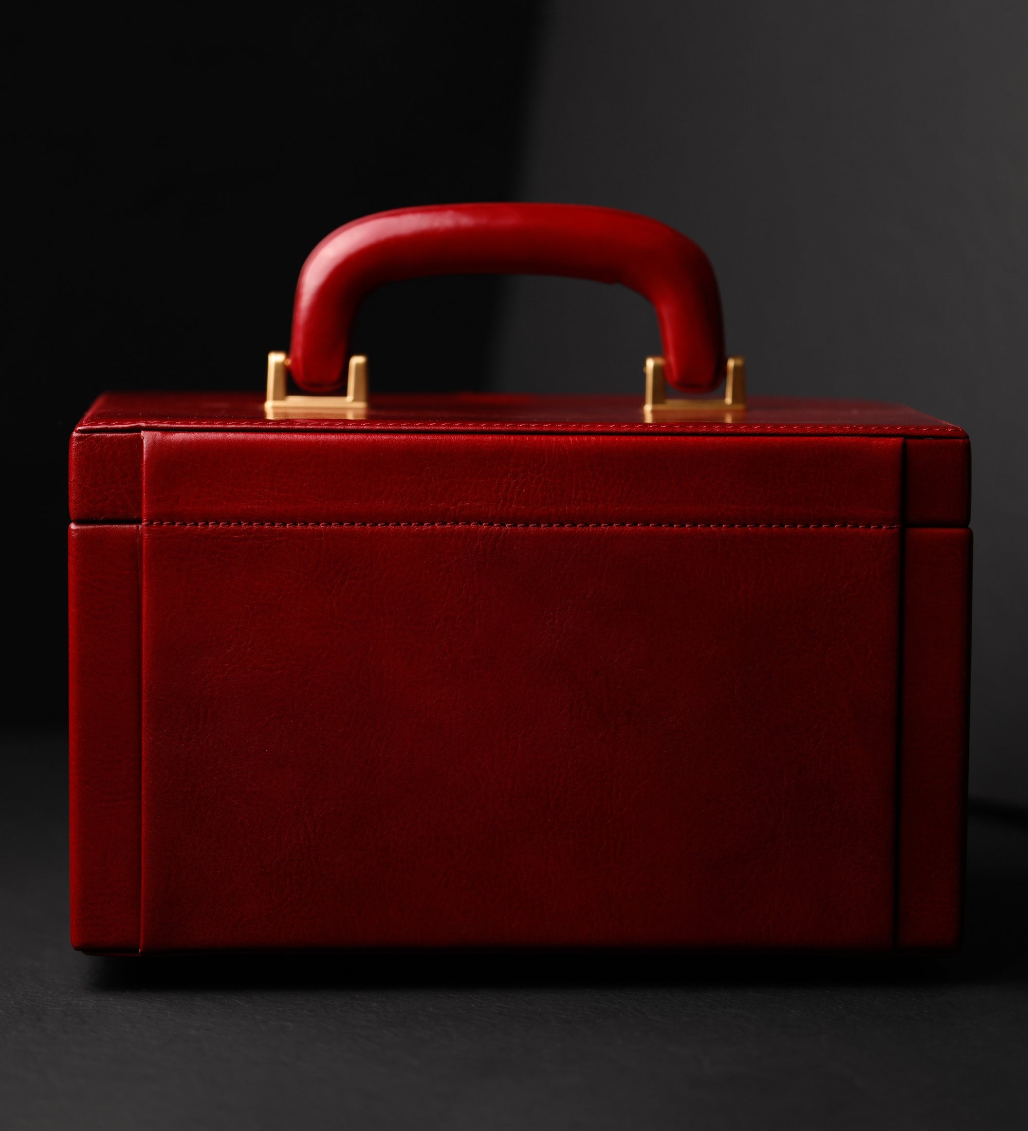 Large Leather Jewelry Box for Women - The Portrait of a Lady