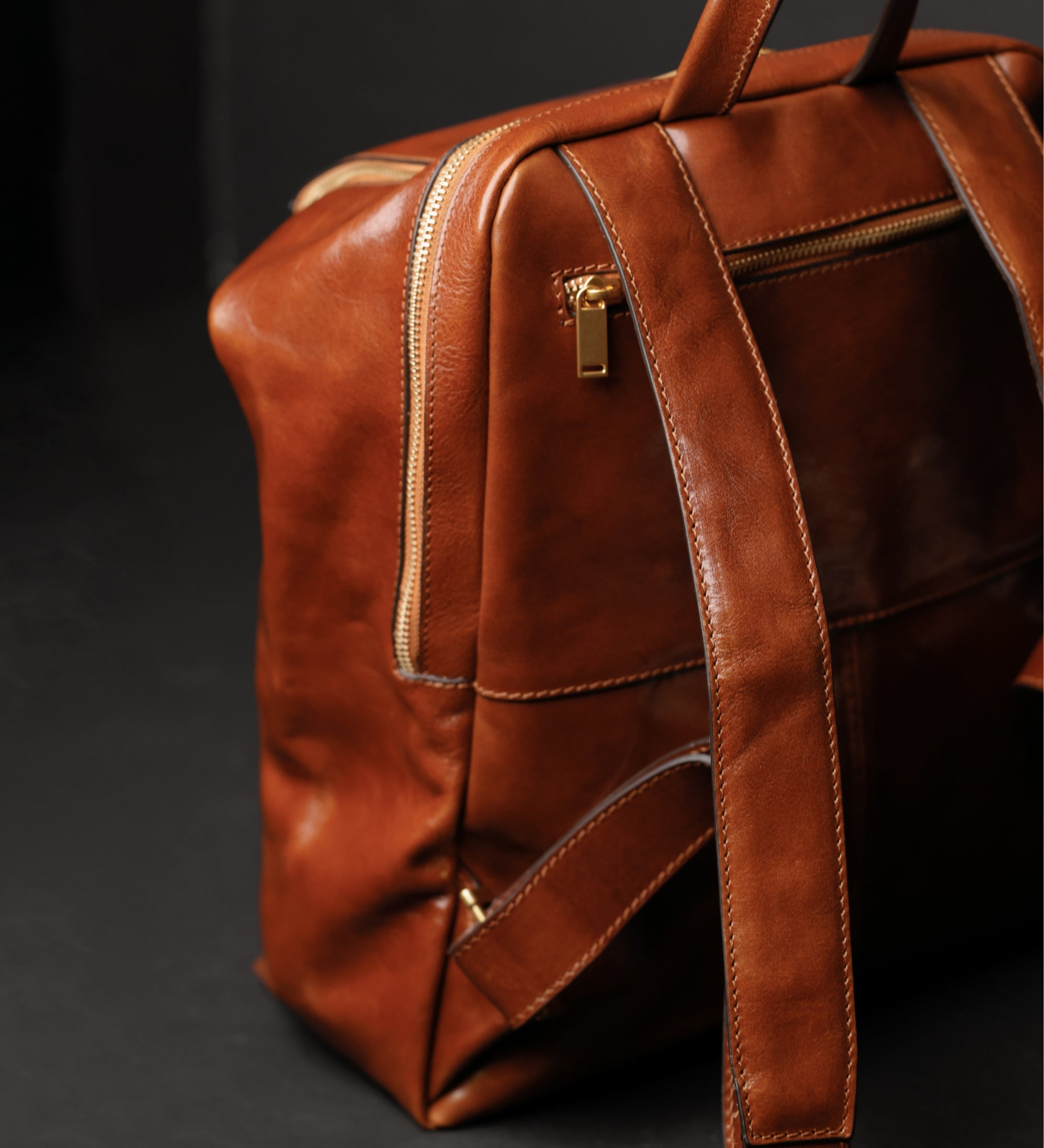 Leather Backpack for Women - A Bend in the River
